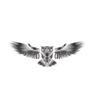 Online Web Launch logo